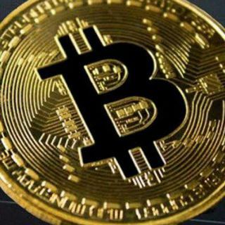 borsa kripto bitcoin telegram grupları